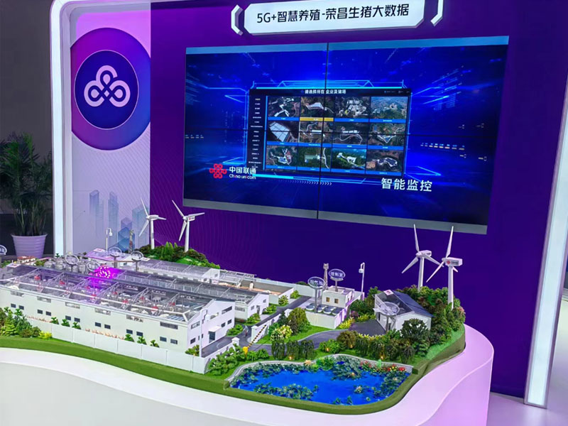 ����ɳ�Pģ��,�ǻ��Bֳɳ�P����